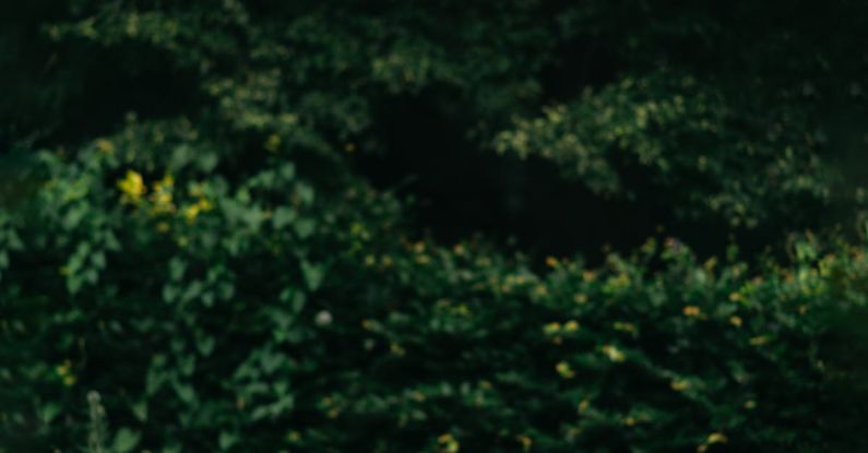 Study Environment - Faceless female wearing knitted sweater hiding behind book while standing in park with green foliage