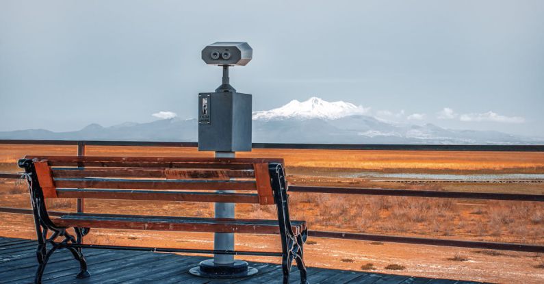 MOOCs - Landscape with Bench and Boardwalk